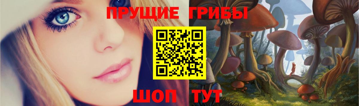 Псилоцибиновые грибы Psilocybine cubensis  Галлюциногенные грибы мухоморы  Тында  Вход с VPN 